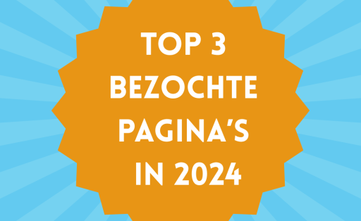 Top 3 bezochte pagina's in 2024